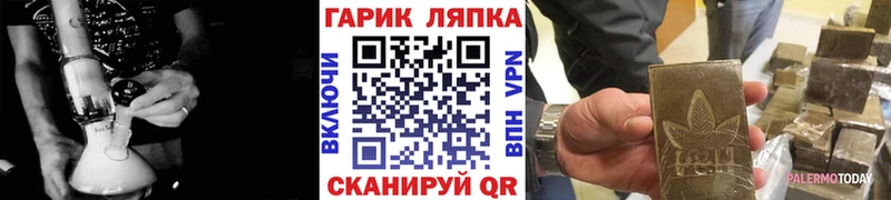 Купить где  Павлово  ГАШ Premium 