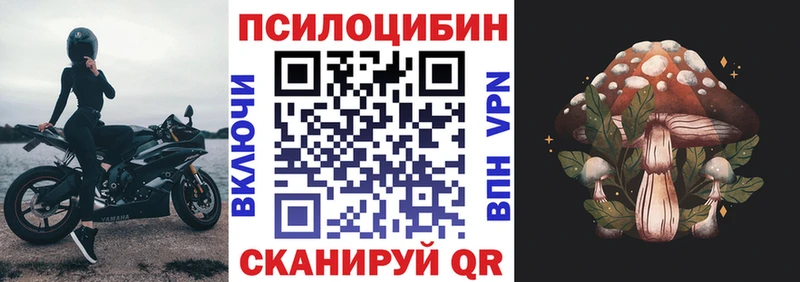 Псилоцибиновые грибы MAGIC MUSHROOMS  Купить  Павлово 